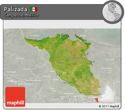 Satellite 3D Map of Palizada, lighten, semi-desaturated
