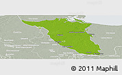 Physical Panoramic Map of Palizada, lighten, semi-desaturated
