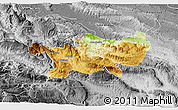 Physical 3D Map of Chilon, desaturated