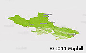 Physical Panoramic Map of Palenque, cropped outside