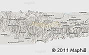 Shaded Relief Panoramic Map of Siltepec, semi-desaturated