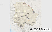 Shaded Relief 3D Map of Chihuahua, lighten
