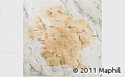 Satellite 3D Map of Ahumada, lighten, semi-desaturated