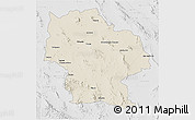 Shaded Relief 3D Map of Ahumada, lighten, desaturated