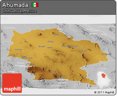 Physical Panoramic Map of Ahumada, lighten, desaturated
