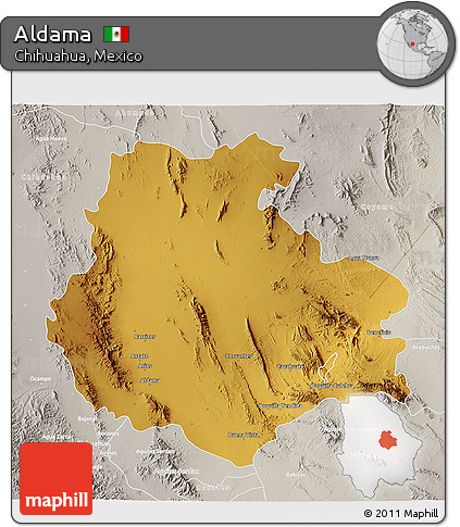 Physical 3D Map of Aldama, lighten, semi-desaturated