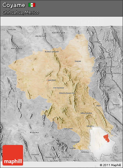 Satellite 3D Map of Coyame, desaturated