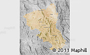 Satellite 3D Map of Coyame, desaturated