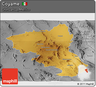 Physical Panoramic Map of Coyame, desaturated