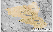 Satellite Panoramic Map of Coyame, desaturated