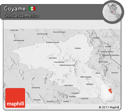 Silver Style Panoramic Map of Coyame