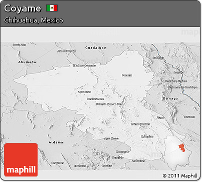 Silver Style Panoramic Map of Coyame