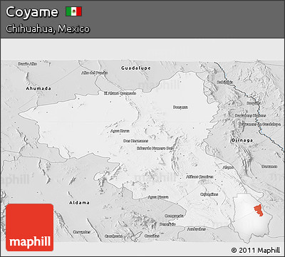 Silver Style Panoramic Map of Coyame