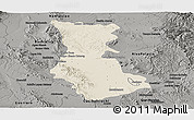 Shaded Relief Panoramic Map of Cuauhtemoc, darken, semi-desaturated