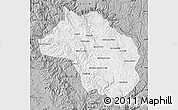 Gray Map of Guadalupe y Calvo