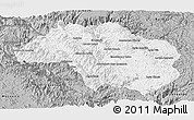 Gray Panoramic Map of Guadalupe y Calvo