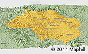Savanna Style Panoramic Map of Guadalupe y Calvo