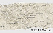 Shaded Relief Panoramic Map of Guadalupe y Calvo
