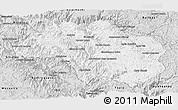 Silver Style Panoramic Map of Guadalupe y Calvo