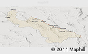 Shaded Relief Panoramic Map of Guadalupe, lighten, semi-desaturated
