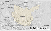 Shaded Relief 3D Map of Hidalgo del Parral, desaturated