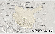 Shaded Relief 3D Map of Hidalgo del Parral, semi-desaturated