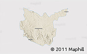 Shaded Relief 3D Map of Hidalgo del Parral, single color outside