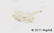 Shaded Relief Panoramic Map of Hidalgo del Parral, single color outside