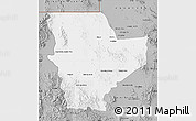 Gray Map of Janos