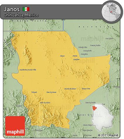 Savanna Style Map of Janos
