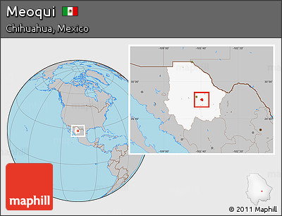 Gray Location Map of Meoqui, highlighted parent region