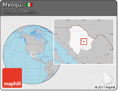Gray Location Map of Meoqui, highlighted parent region