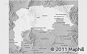 Gray 3D Map of Namiquipa