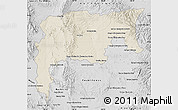Shaded Relief Map of Namiquipa, desaturated