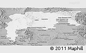 Gray Panoramic Map of Namiquipa