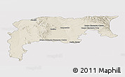 Shaded Relief Panoramic Map of Namiquipa, cropped outside