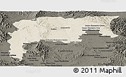 Shaded Relief Panoramic Map of Namiquipa, darken