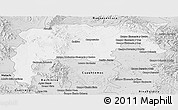 Silver Style Panoramic Map of Namiquipa