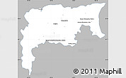 Gray Simple Map of Namiquipa, single color outside
