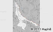 Gray Map of Ojinaga