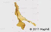 Physical Map of Ojinaga, cropped outside