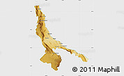 Physical Map of Ojinaga, single color outside