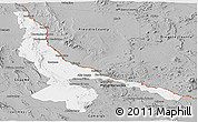 Gray Panoramic Map of Ojinaga