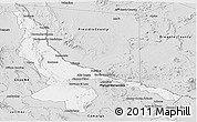 Silver Style Panoramic Map of Ojinaga
