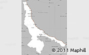 Gray Simple Map of Ojinaga