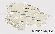 Shaded Relief Panoramic Map of Chihuahua, cropped outside