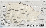 Shaded Relief Panoramic Map of Chihuahua, semi-desaturated