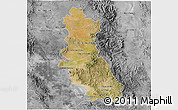 Satellite 3D Map of Riva Palacio, desaturated
