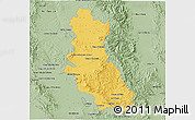 Savanna Style 3D Map of Riva Palacio