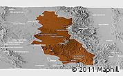Physical Panoramic Map of Riva Palacio, lighten, desaturated